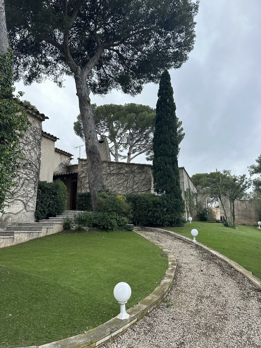  L’élagage d’un pin à Martigues – Une intervention réussie par Atout’Arbres