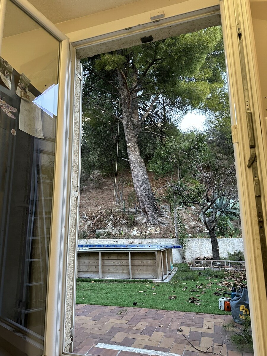 Avant-après de l’élagage d’un pin à Rognac