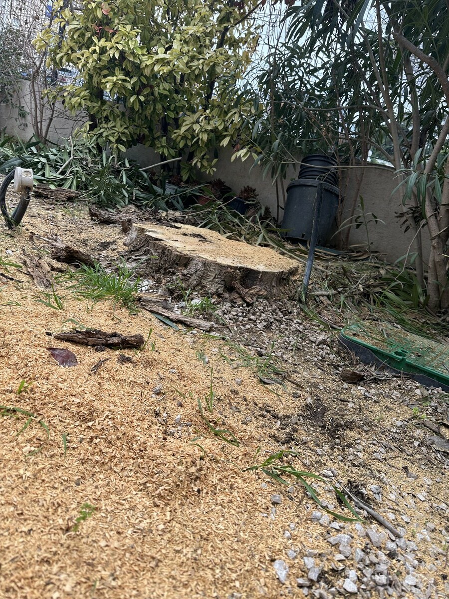 Rognage de souches à Carry-le-Rouet