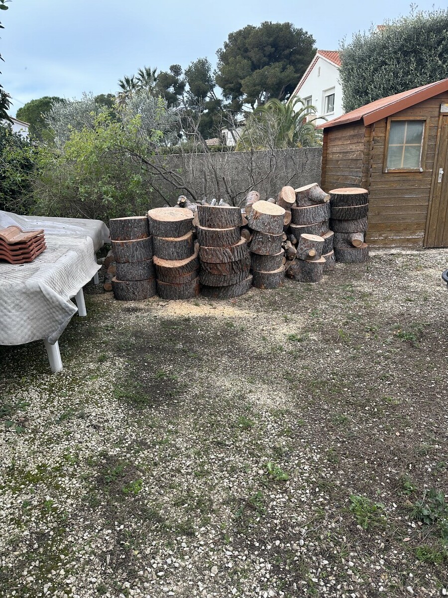 Abattage d’un Pin à Sausset-les-Pins : Une Intervention Nécessaire