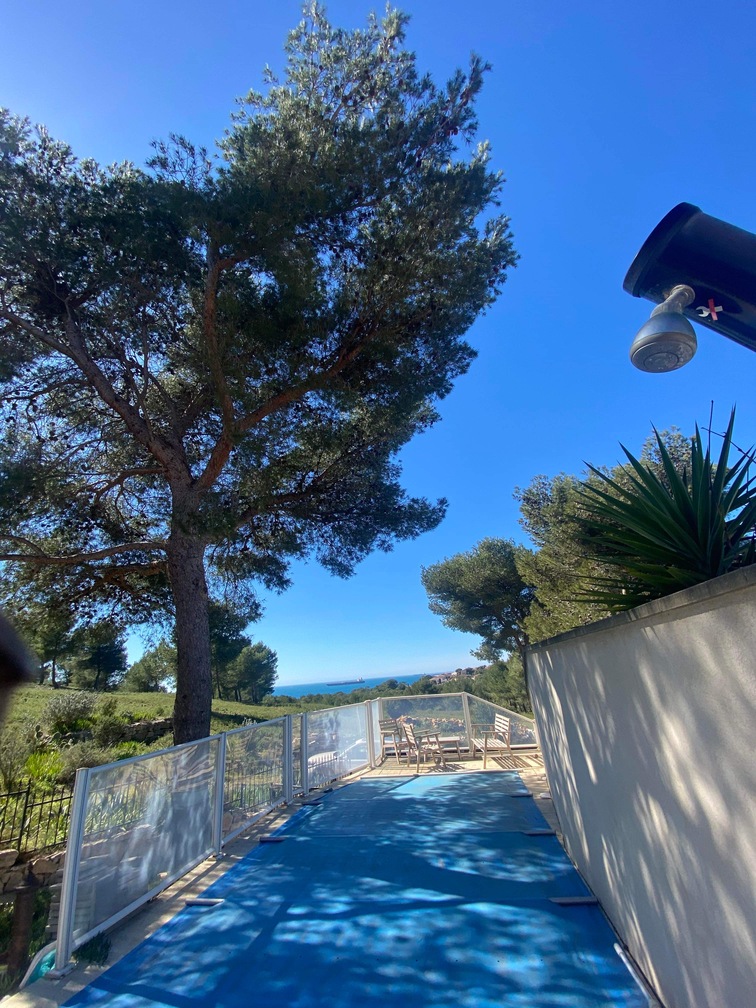 Après – Abattage par démontage de Pins à Martigues