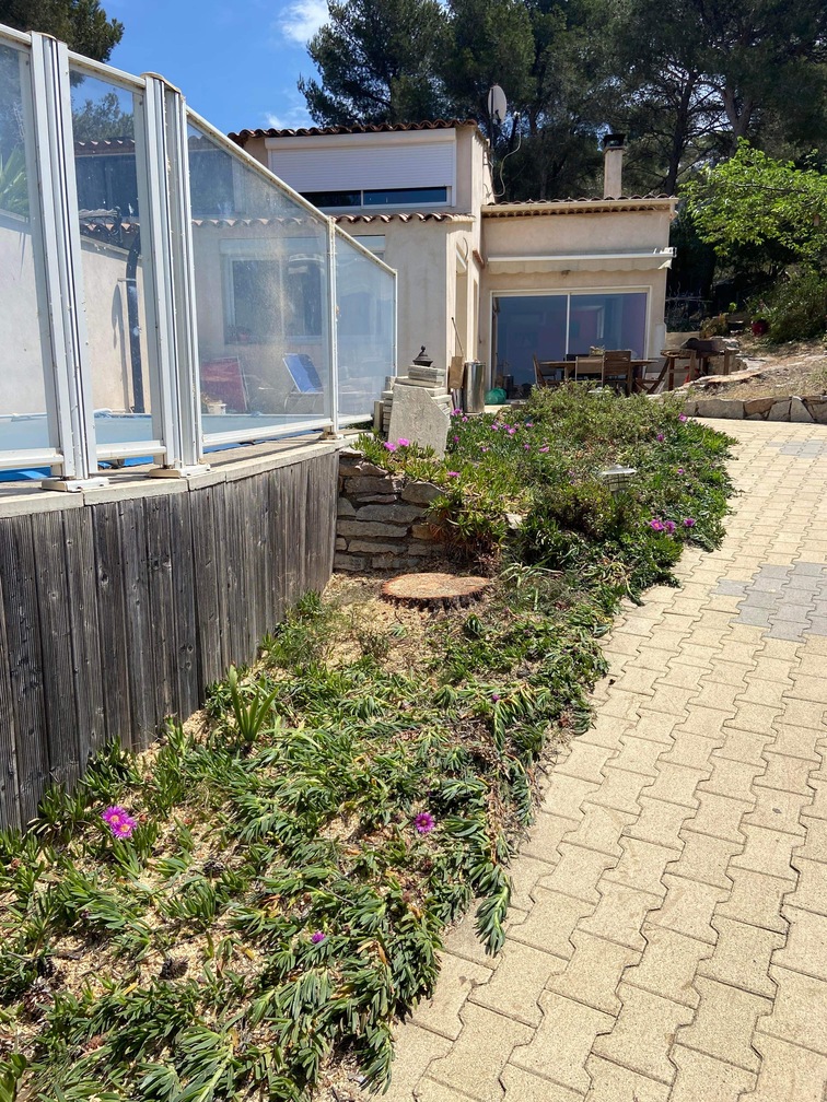 Après – Abattage par démontage de Pins à Martigues