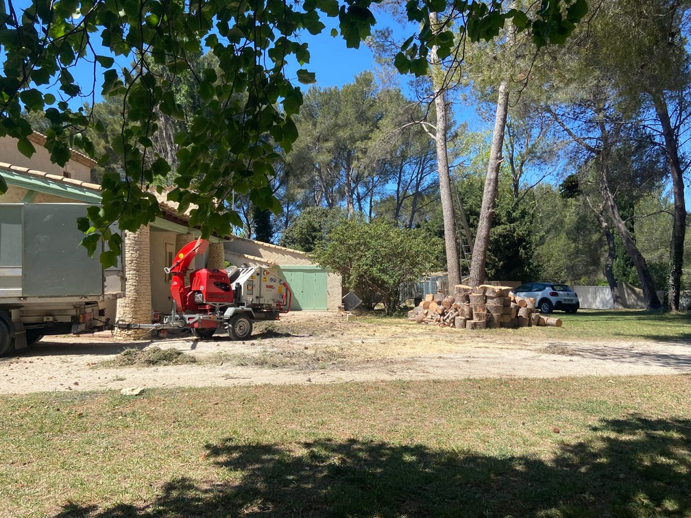 Avant – Abattage par démontage de Pins à St Mitre les Remparts