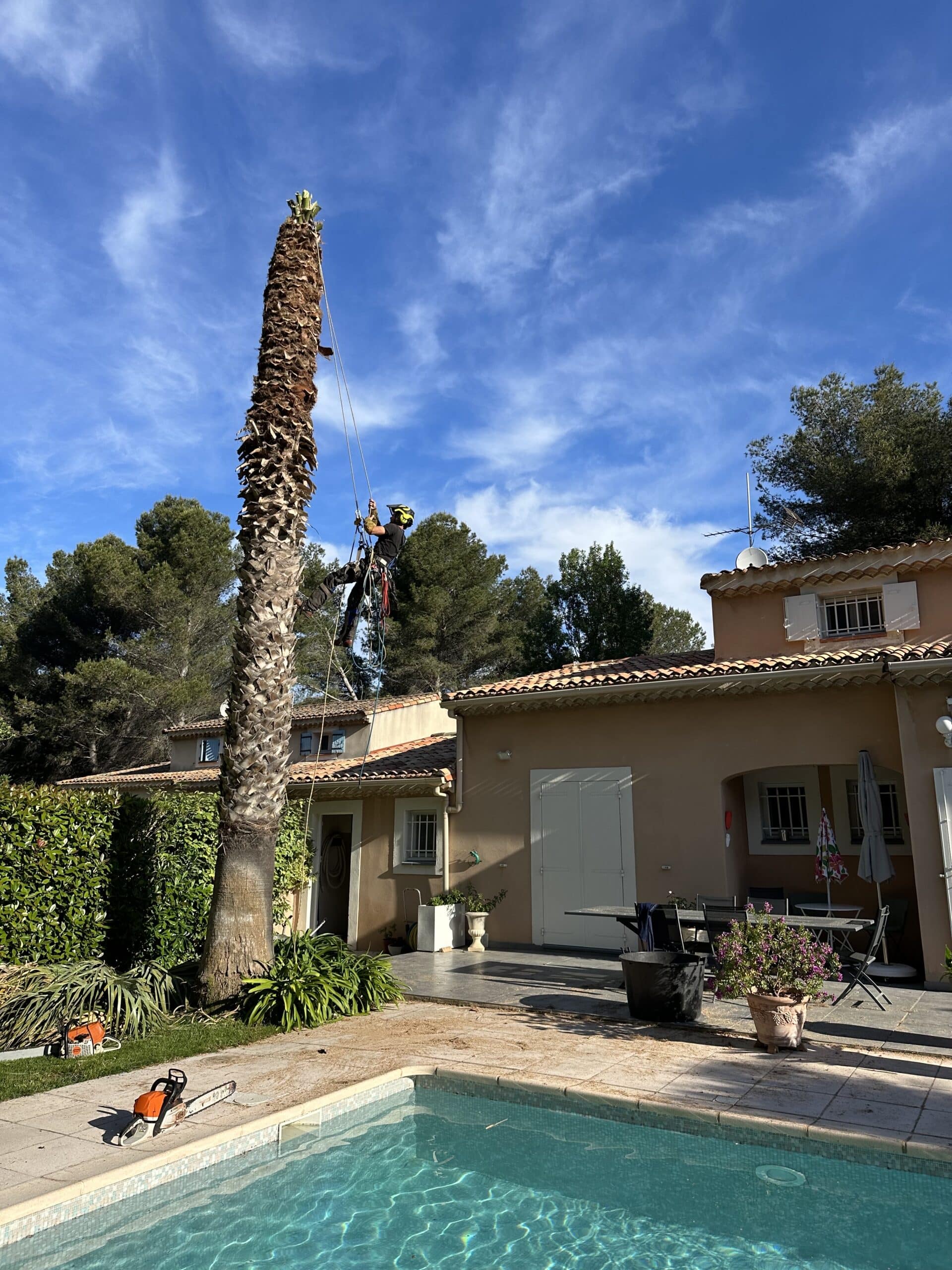 Grimpeur professionnel élague un grand palmier en toute sécurité près d'une piscine. Tronçonneuses au sol. Ciel bleu et maisons ensoleillées.