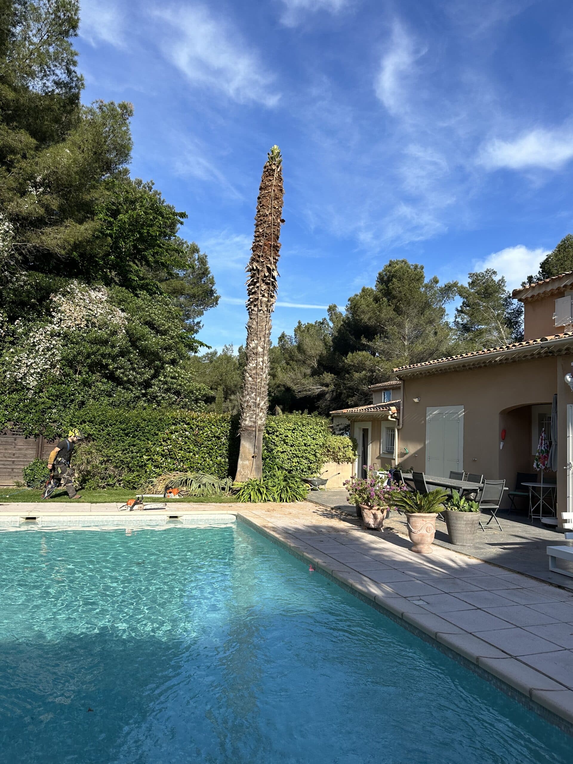 Arboriste en tenue de sécurité avec tronçonneuses près d'une piscine et d'un palmier élagué, sous ciel bleu. Maison et végétation luxuriante.