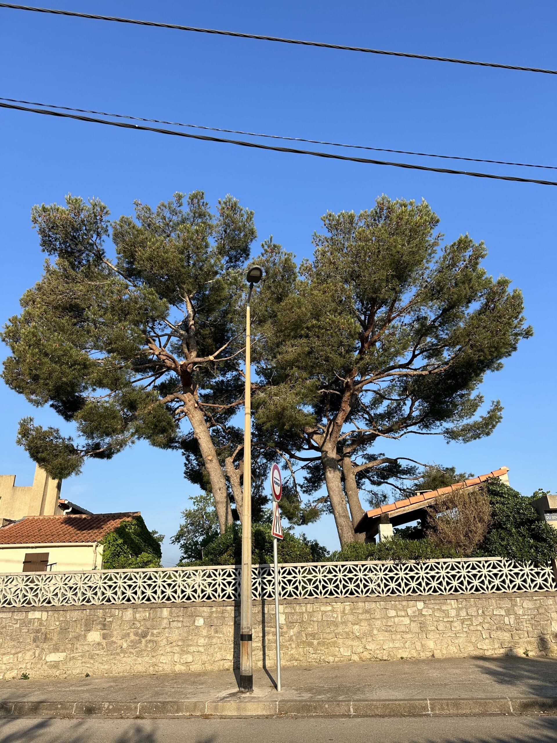 Grands pins, ciel bleu lumineux. Lampadaire central, panneaux routiers (sens interdit, priorité). Mur de pierre avec clôture ajourée. Lignes électriques, toits de maisons.