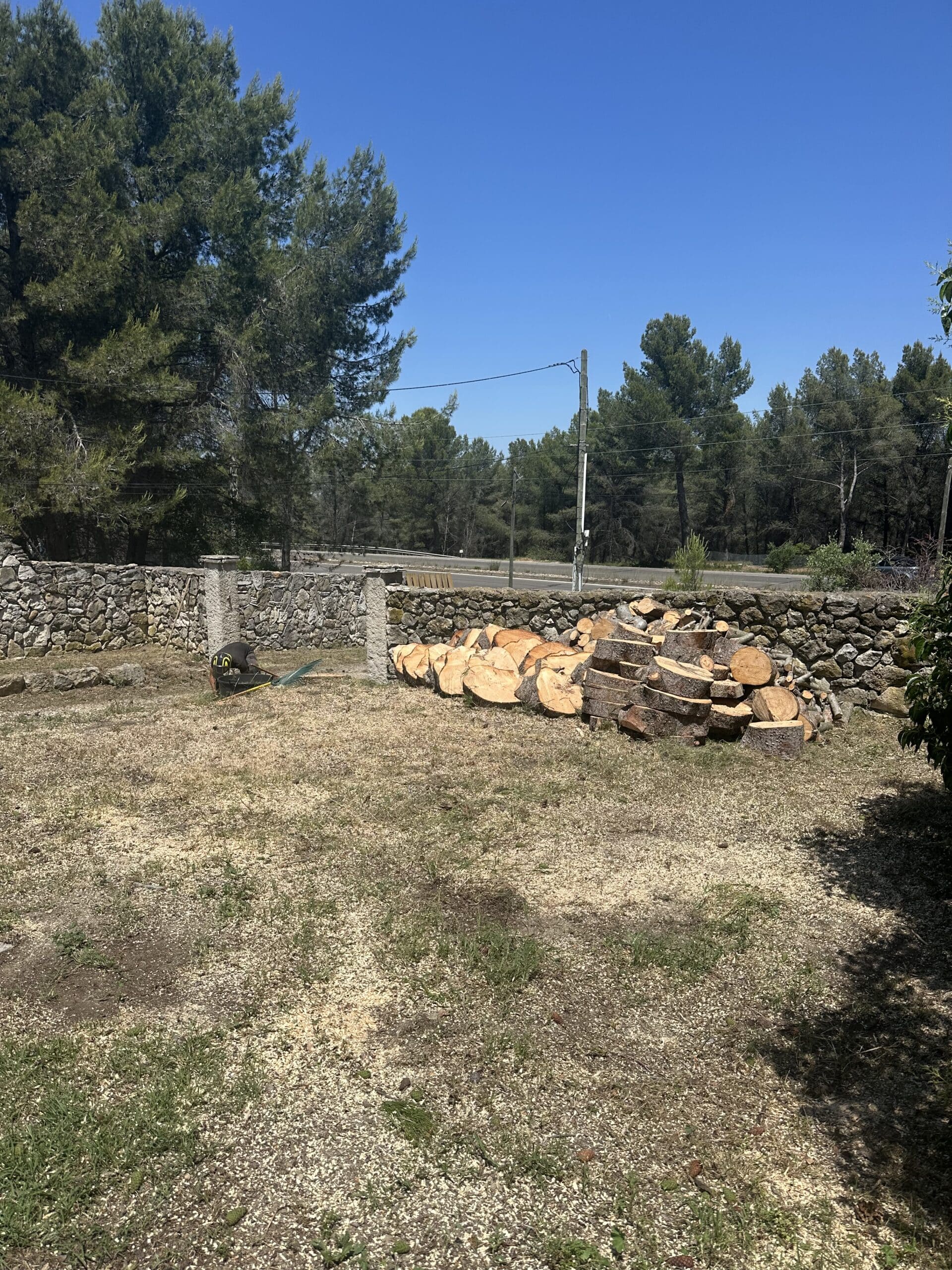 Bûches de bois coupées devant un mur de pierre dans un jardin sous ciel bleu.