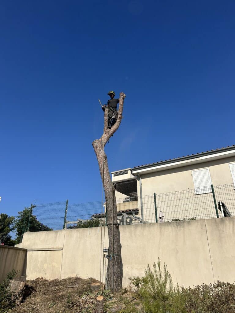 Élagueur sécurisé coupant un tronc à la tronçonneuse sous un ciel bleu dégagé.