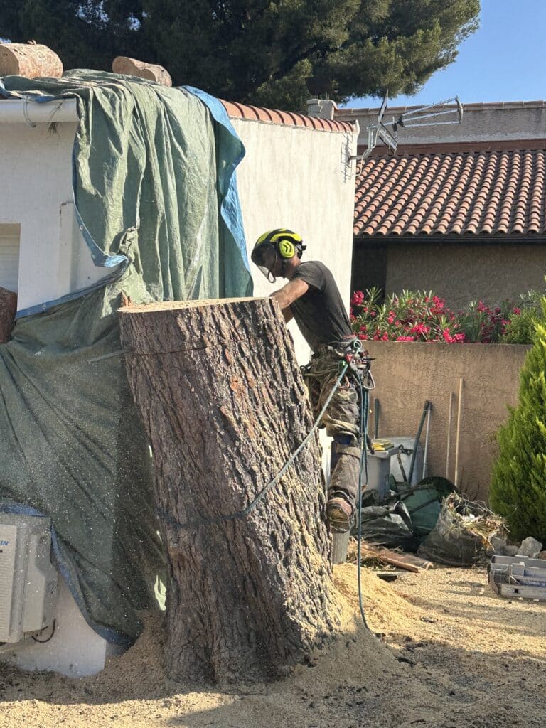 Élagueur sécurisé découpant un gros tronc d'arbre avec une tronçonneuse près d'une maison.